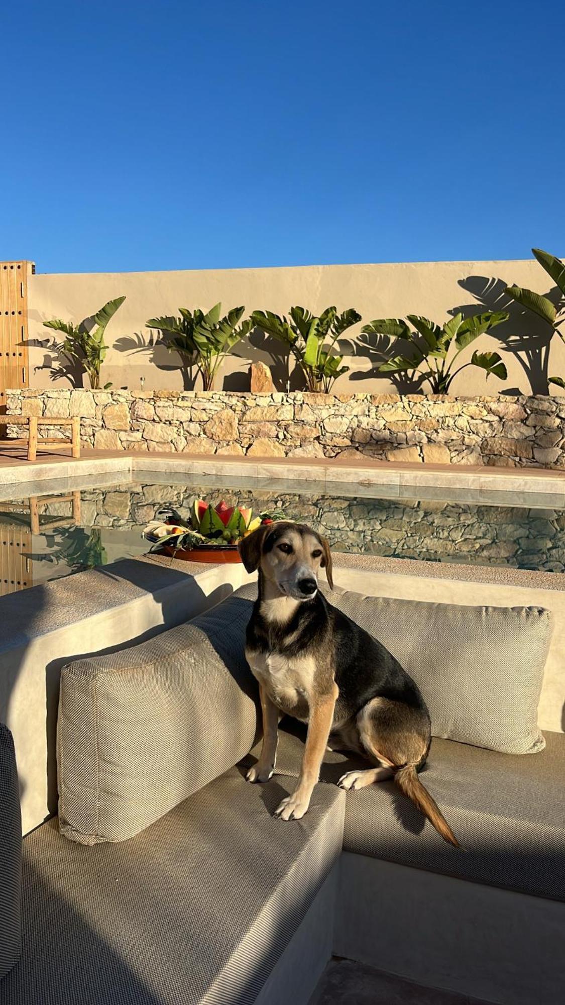 Argan House Morocco Bed & Breakfast Taghazout Luaran gambar